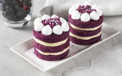 Burdenno Purple Velvet Mono Pasta