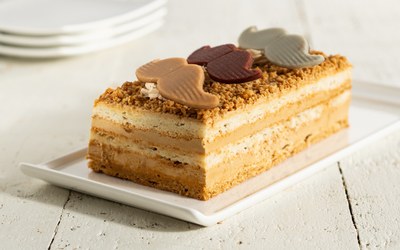 Quattro Vanilyalı Pandispanya Miksi