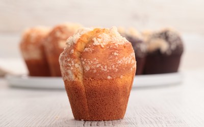 Burdenno Muffin Miksi